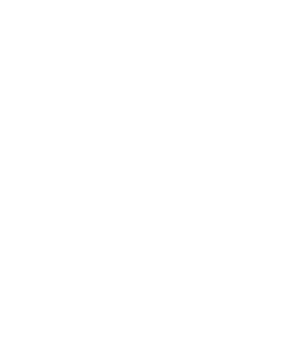 iraaio icon
